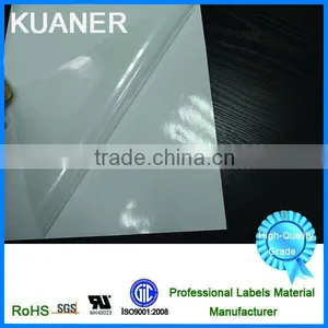PVC Film Self Adhesive Labels Material for Outdoor ,excellent Printing thumbnail-1