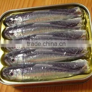 Canned Sardines thumbnail-1