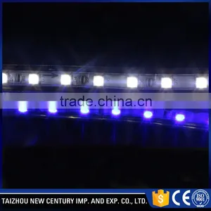 Blue Color Christmas Decorative Led Rope Lights Round Rope Light thumbnail-2