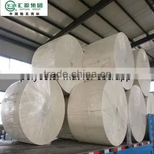 Nonwoven Polyester Mat for Sbs/app Membrane thumbnail-1