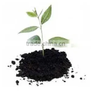 Coco Peat Bricks thumbnail-2