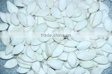 PUMPKIN SEEDS thumbnail-3