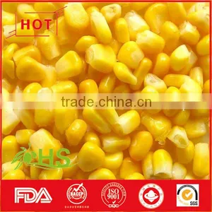 Frozen Vegetables of Sweet Corn Kernels thumbnail-2