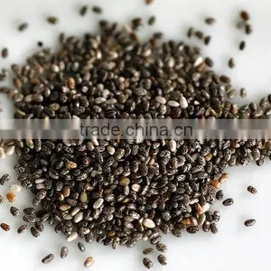 Organic Chia Seed thumbnail-1