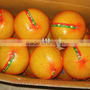 Honey Pomelo Fruit 2011 New Crop thumbnail-1