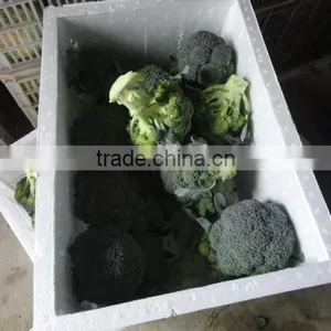 7.5kg Foam Box Fresh Broccoli thumbnail-1