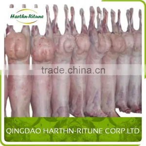 Halal Meat Wholesale Frozen Lamb Carcass thumbnail-1
