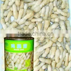 Canned Salted Shaggy Mane thumbnail-1