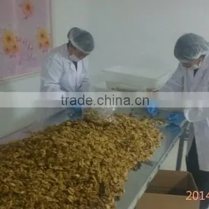 2015 New Crop Dried Light / Amber Half Walnut Kernels thumbnail-4