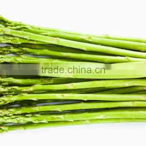 Frozen Asparagus thumbnail-3