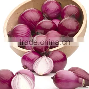 FX-128-3A High Efficiency Hot Sale Onion Peeling Peeler Machine thumbnail-4