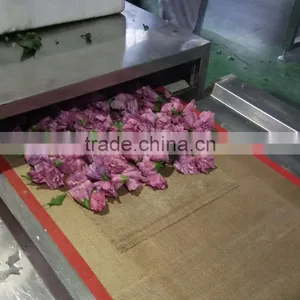 Microwave Flower Dryer and Sterilization Equipment thumbnail-2