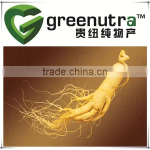 Panax Ginseng Root thumbnail-1