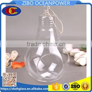 Wholesale Clear Bulb Glass Vase Glass Landscape Bottle Hanging thumbnail-1