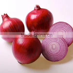 High Quality Fresh Onion From Kego Vietnam thumbnail-1