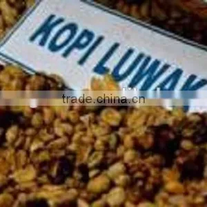 Coffee Roasting Machines thumbnail-1
