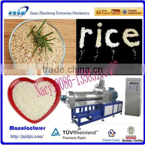 High Quality CE 100kg/h Nutritional Rice Processing Line/machine thumbnail-1