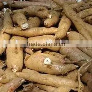 we Supply Big Capacity Cassava Peeling Machine +8618637188608 thumbnail-3