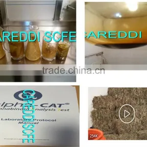 Supercritical Co2 Machine for Essential Oil Extraction thumbnail-2