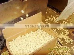 Corn Snack Food Machine-Jinan Chenyang Company thumbnail-1