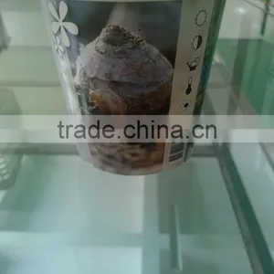 Take Away Disposable Flower Planting Paper Cups thumbnail-1