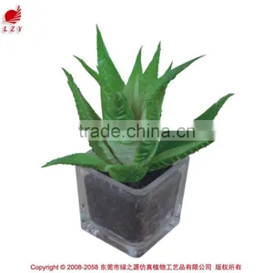 Nearly Natural Mini Succulents Potted Plant Small Succulents thumbnail-2