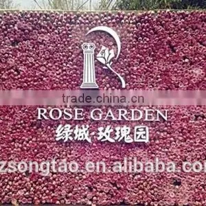 Artificial Plant Wall for Outdoor Decorative Plant Wall thumbnail-2