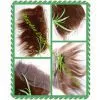 Free Part 13x4 Inch Frontal Lace Closure Bleached Knots With Unprocessed 5A Brazilian Virgin Hair,6# Color Straight Hair,Lace Frontal Closure thumbnail-1