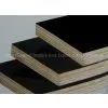 GIGA AAA Black Film Faced Shuttering Plywood With Brand Name thumbnail-1