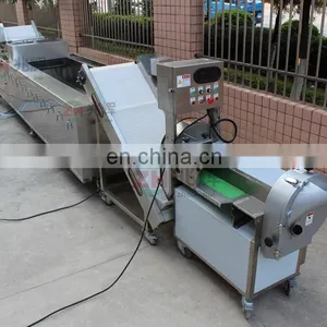Factory Price Cucumber Pickled Vegetable Washing Machine for Sale thumbnail-5