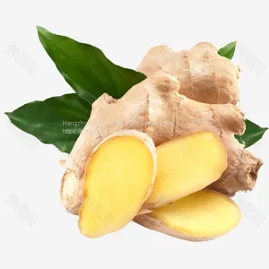 In 2021, With Fresh Ginger thumbnail-1