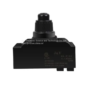 J&V Pulse Igniter With Ordinary Cap Information thumbnail-1
