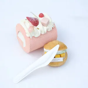 100% Bagasse Dinner Knife Sugarcane Biodegradable Tableware Disposable Bagasse Knife Serving Knife thumbnail-3