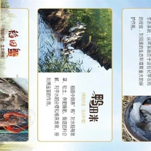 Yuanye Planting Family Farm In Beilin District, Suihua City,individual Business company overview - view 3 thumbnail