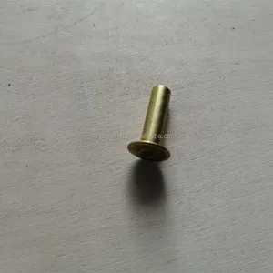 High Quality Chinese Bus Body Parts 8x24mm-100pcs Brake Shoe Rivet Aluminum thumbnail-4