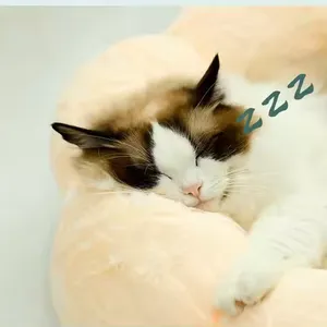 Winter Soft Warm Semi-Enclosed Cat Litter Dog Bed House Indoor Cozy Comfy Pet Cat Bed thumbnail-2