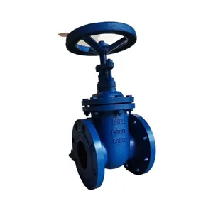 Factory Direct Sales DIN NRS GGG40 Ductile Iron Cast Iron 4
