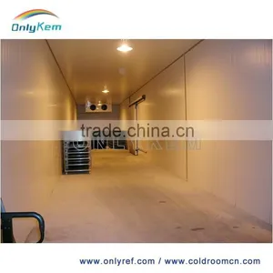 Preservation Cold Storage for Fresh Banana Quality Choice thumbnail-4