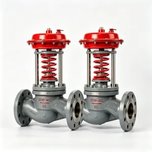 ZZYP-16C Self-operated Pressure Regulating Valve With On-site Technical Support Available thumbnail-2