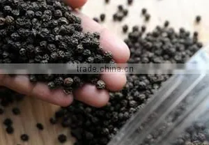 VietNam Black Pepper High Quality thumbnail-1