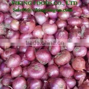 FRESH RED ONION _ FROM VIET NAM thumbnail-1