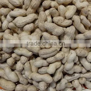 New Crop Chinese Roasted Peanuts In Shell thumbnail-1