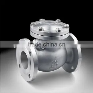 Stainless Steel Check Valve Dn80 From OTS thumbnail-2