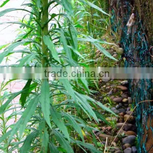 Gabion Basket(ISO Factory, ASTM STANDARD, SGS) thumbnail-1