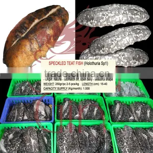 Dried Sea Cucumber Supplier: White Teat Fish, Curry Fish, Prickly Fish, Black Sand Fish, Black Fish and More 10 Other Speices thumbnail-3