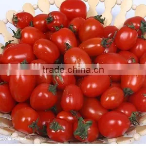Fresh Vegetables Canned Tomato Paste Concentrated 28-30%,tomato Sauce thumbnail-3