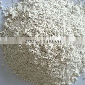 Garlic Powder thumbnail-1