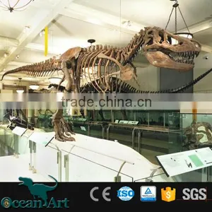 OAV3127 Dinosaur Skeleton Replicas for Exhibition thumbnail-4