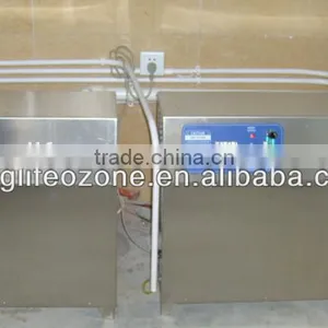 Air Purifier for Hotel/water Treatment/ozonizer/ozonator/ozone Reactor/Long Life Integrated Ozone Generator thumbnail-2
