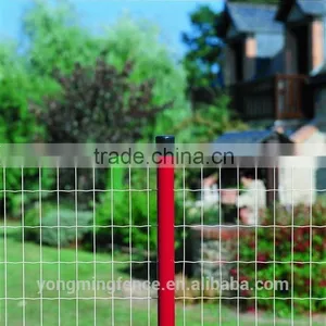 PVC Coated Euro Fence Manufacturer thumbnail-1